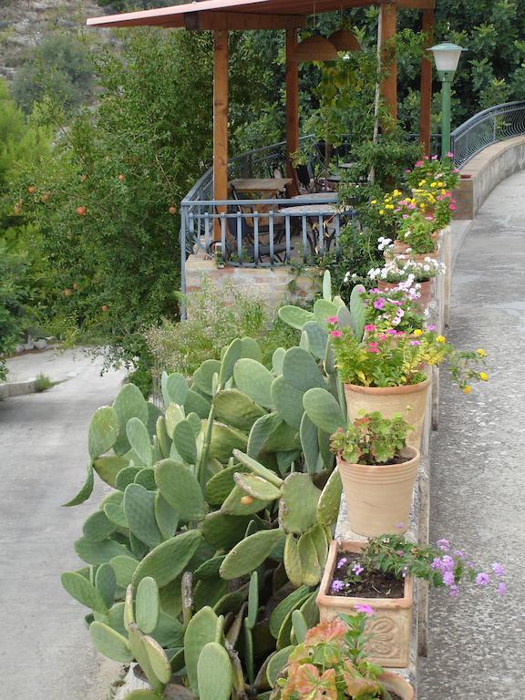 La Suma Sumalia Bed and Breakfast Noto Exteriör bild