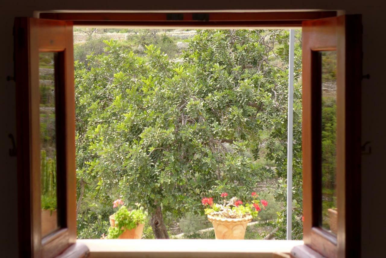 La Suma Sumalia Bed and Breakfast Noto Exteriör bild